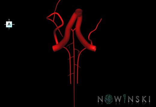 G1.T15.10.V1.C1.L0.Vertebral artery