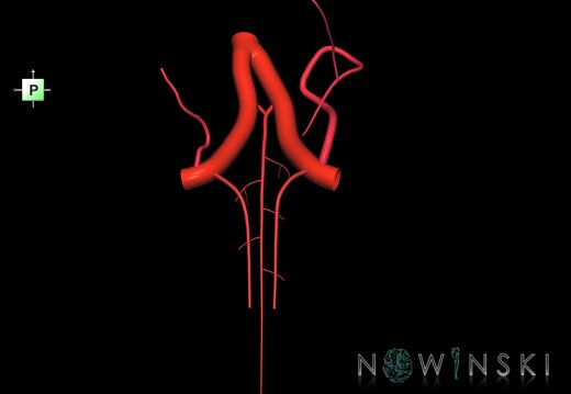 G1.T15.10.V3.C2.L0.Vertebral artery