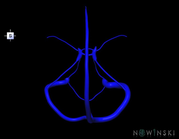 G1.T16.4.V5.C1.L0.Dural_sinuses.tiff