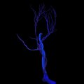 G1.T18.1.V2.C2.L0.Extracranial veins main branches
