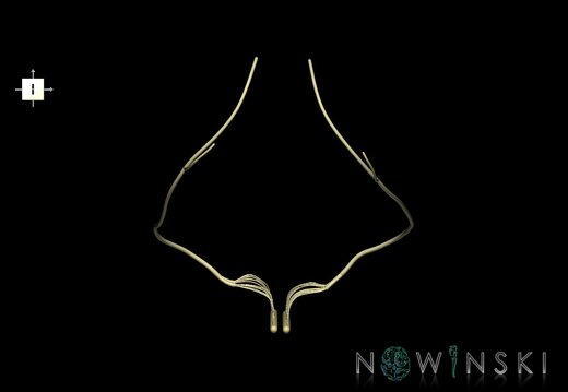 G1.T19.15.V6.C2.L0.Hypoglossal nerve