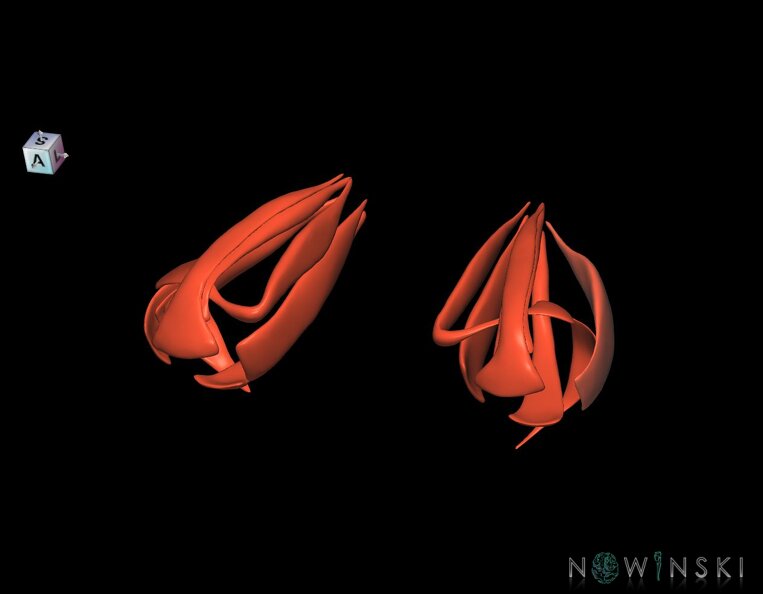 G1.T20.4.V7.C1.L0.Extraocular_muscles.tiff