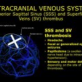 G11.T16.1.VascularDisorders.IntracranialVenousSystem.Superior sagittal sinus superficial veins thrombus