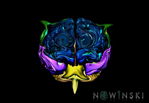 G12.ArtisticBrain.Brainy owl