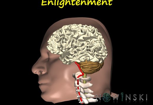 G12.PeaceThroughBrain.Enlightenment