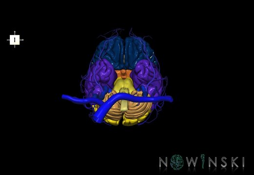 G2.T1-18.2.V6.C2.L0.CNS–Extracranial veins
