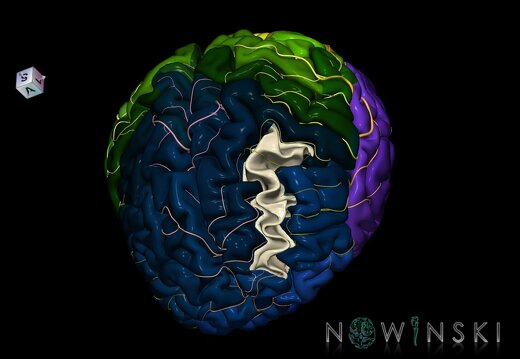 G8.T3.1-6 6.13-13.4-15.2.V7.C2.L0.Cerebrum-No middle frontal gyrus left-WM-Intracranial arteries