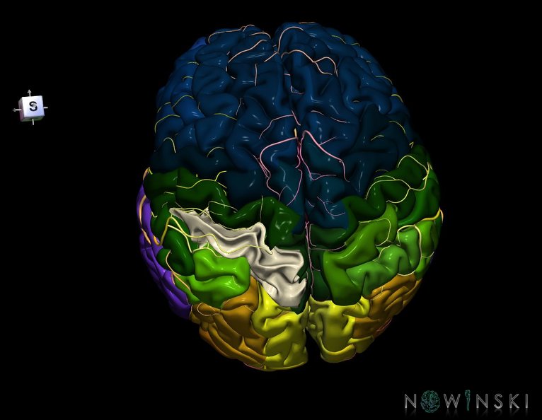 G8.T3.1-6_6.26-13.4-15.2.V7.C2.L0.Cerebrum-No_sup_parietal_lobule_left-WM-Intracranial_arteries.tiff